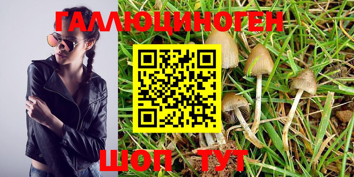 Псилоцибиновые грибы MAGIC MUSHROOMS Кольчугино