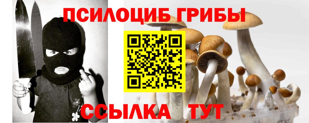 Галлюциногенные грибы мухоморы  Вход с VPN  Псилоцибиновые грибы GOLDEN TEACHER  Кольчугино 